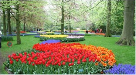 keukenhof.kl.JPG, May 2017