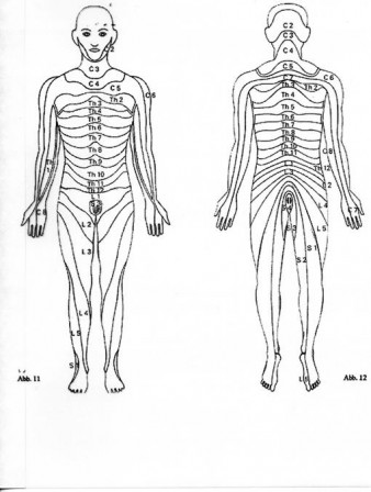 segment hansen&amp;schliack.jpg