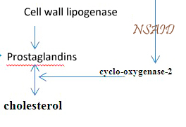 nsaid.jpg